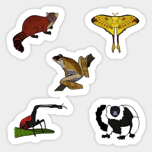 Madagascar Wildlife Mini Sticker Pack 1 Sticker